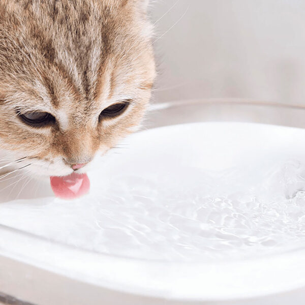آبخوری هوشمند حیوانات شیائومی pet fountain