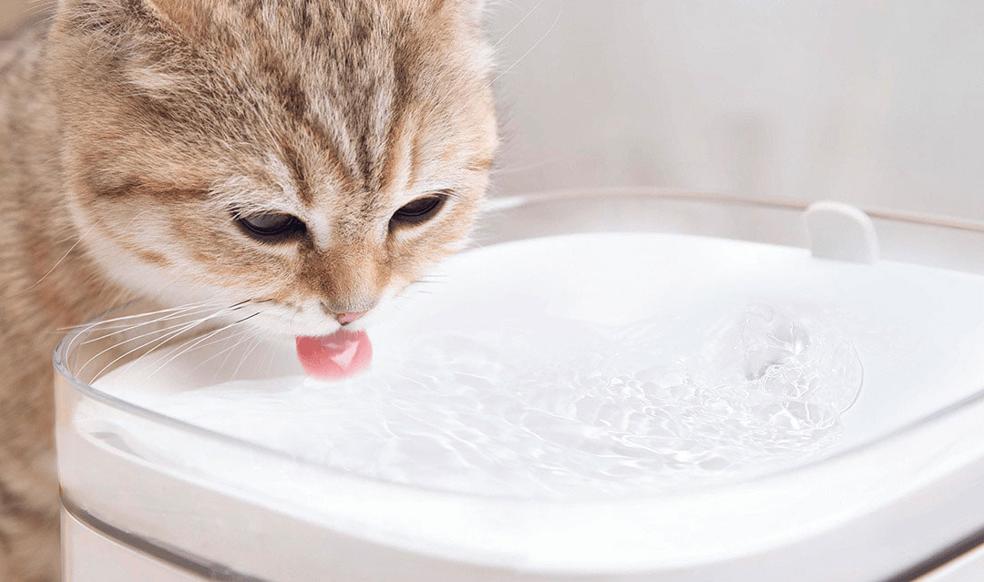 آبخوری هوشمند حیوانات شیائومی pet fountain