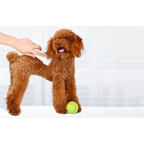 معرفی ماشین اصلاح موی حیوانات خانگی شیائومی Xiaomi Pawbby Pet Hair Clippers MG-HC001A