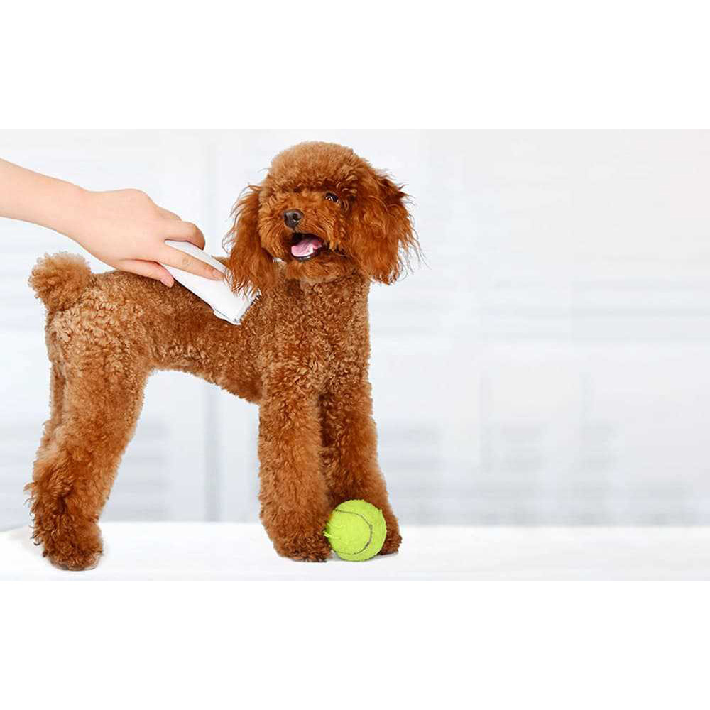 معرفی ماشین اصلاح موی حیوانات خانگی شیائومی Xiaomi Pawbby Pet Hair Clippers MG-HC001A
